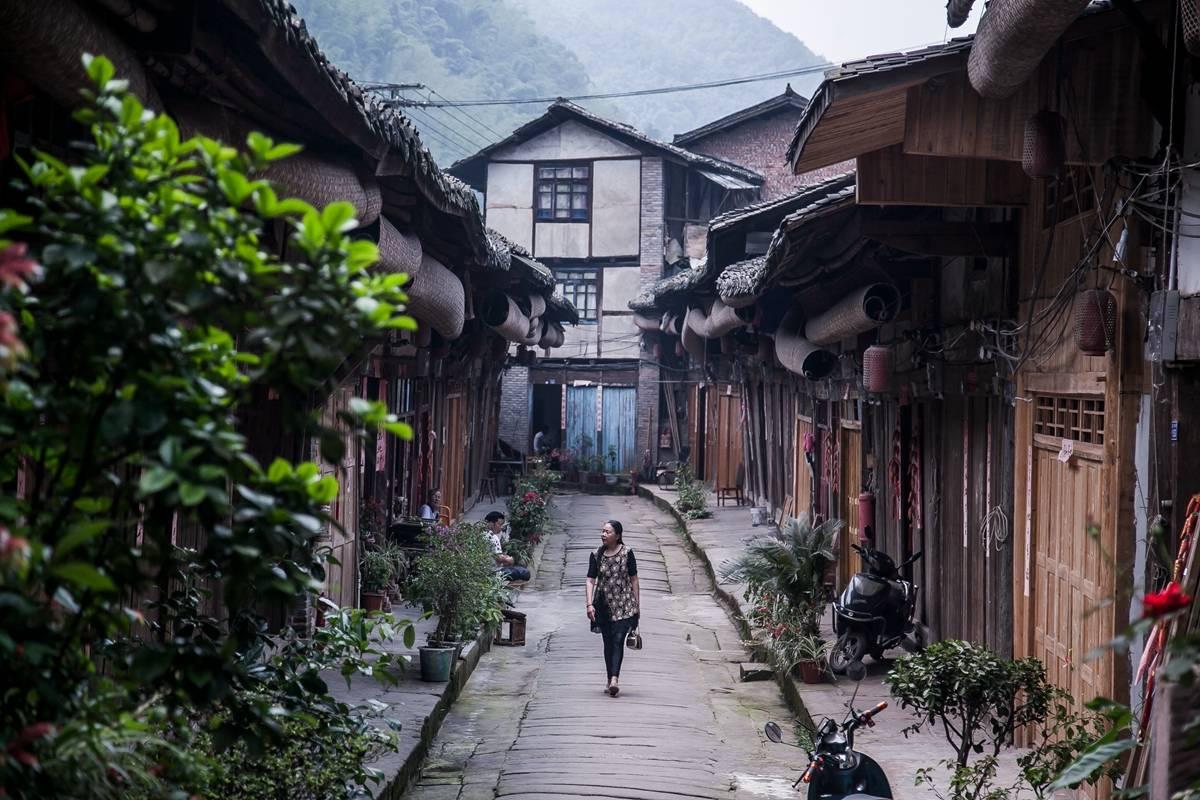 春雨直播app