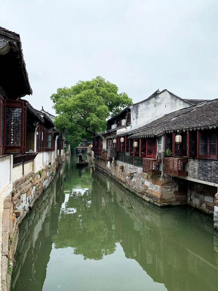 我修的可能是假仙