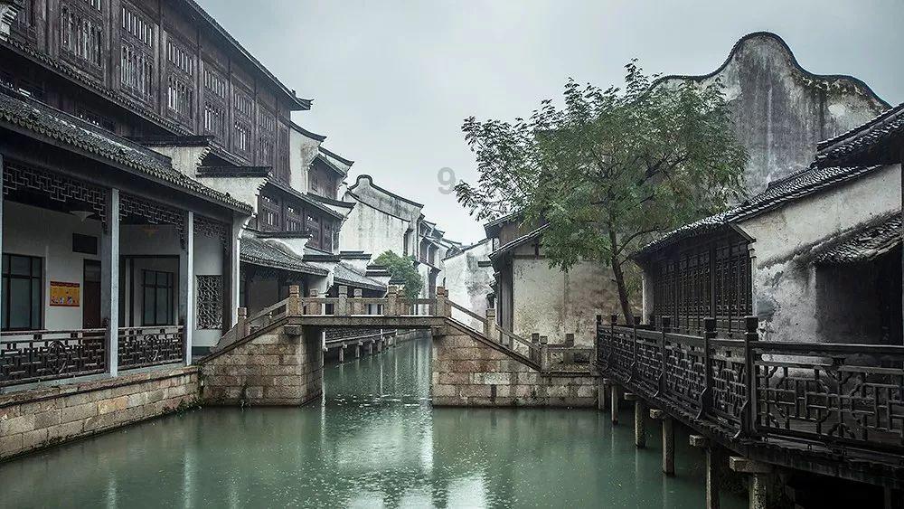 逃出熊蜂森林