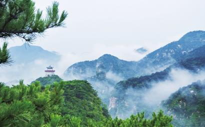 山东省政协建设“有事多商量”协商平台 持续推进提案工作开新局