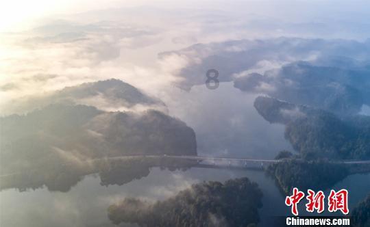 枪血黑手党
