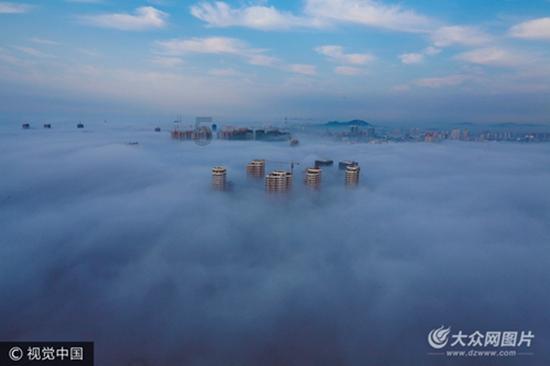 虫虫助手下载